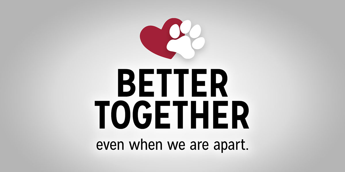 better together featured