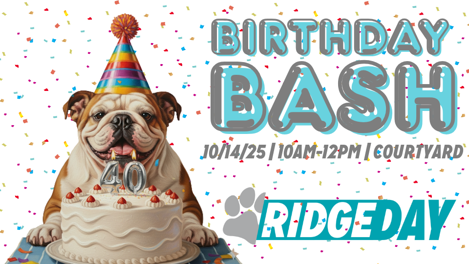 BirthdayBash tv