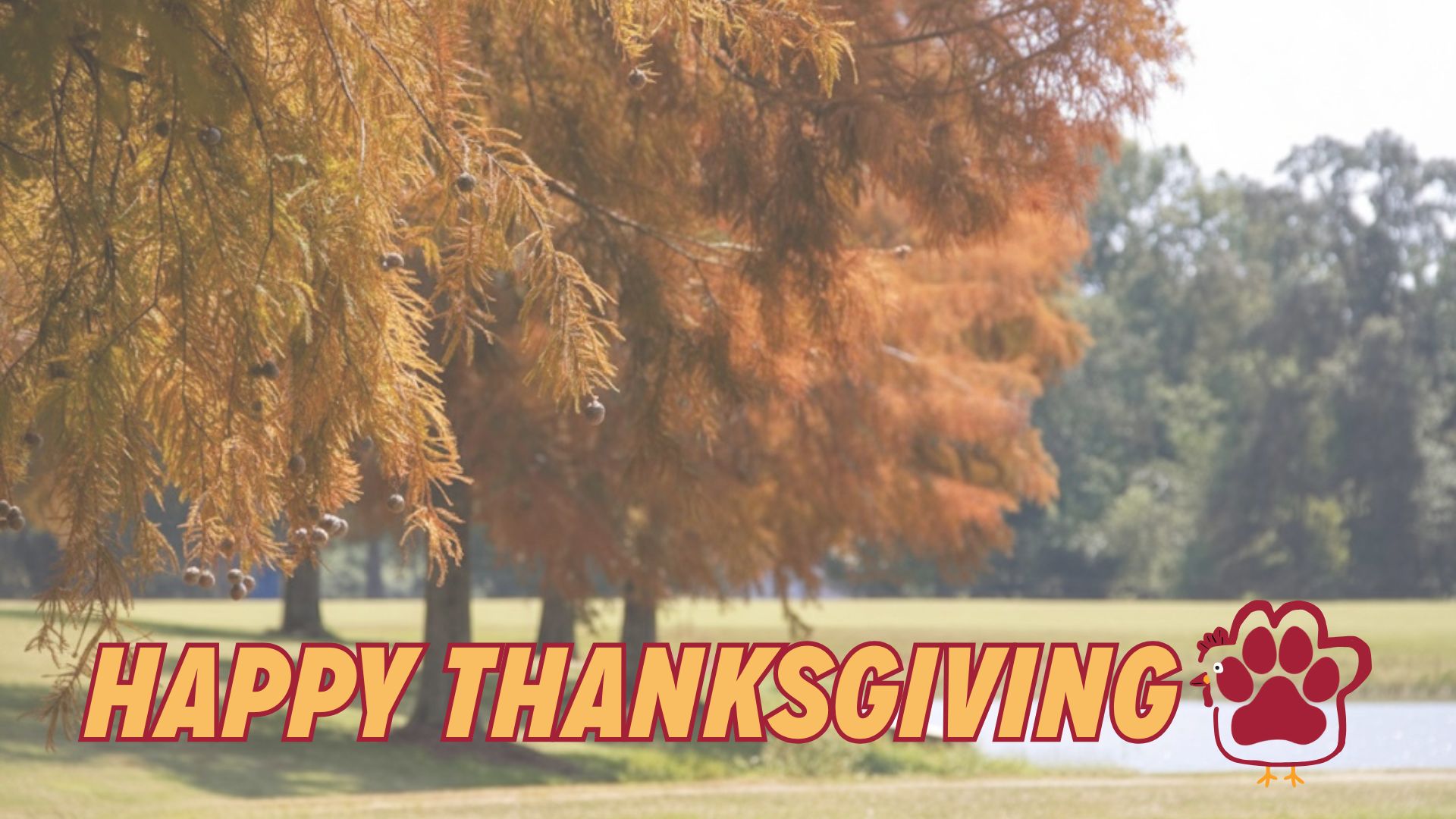thanksgiving tv
