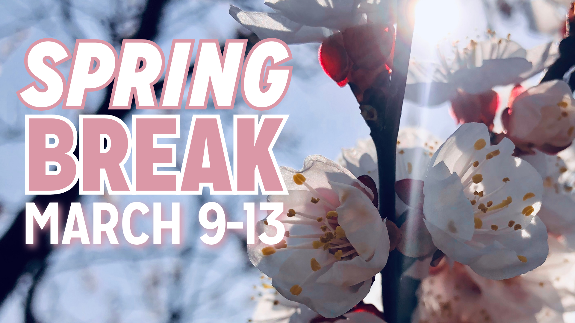 SPRINGBREAK