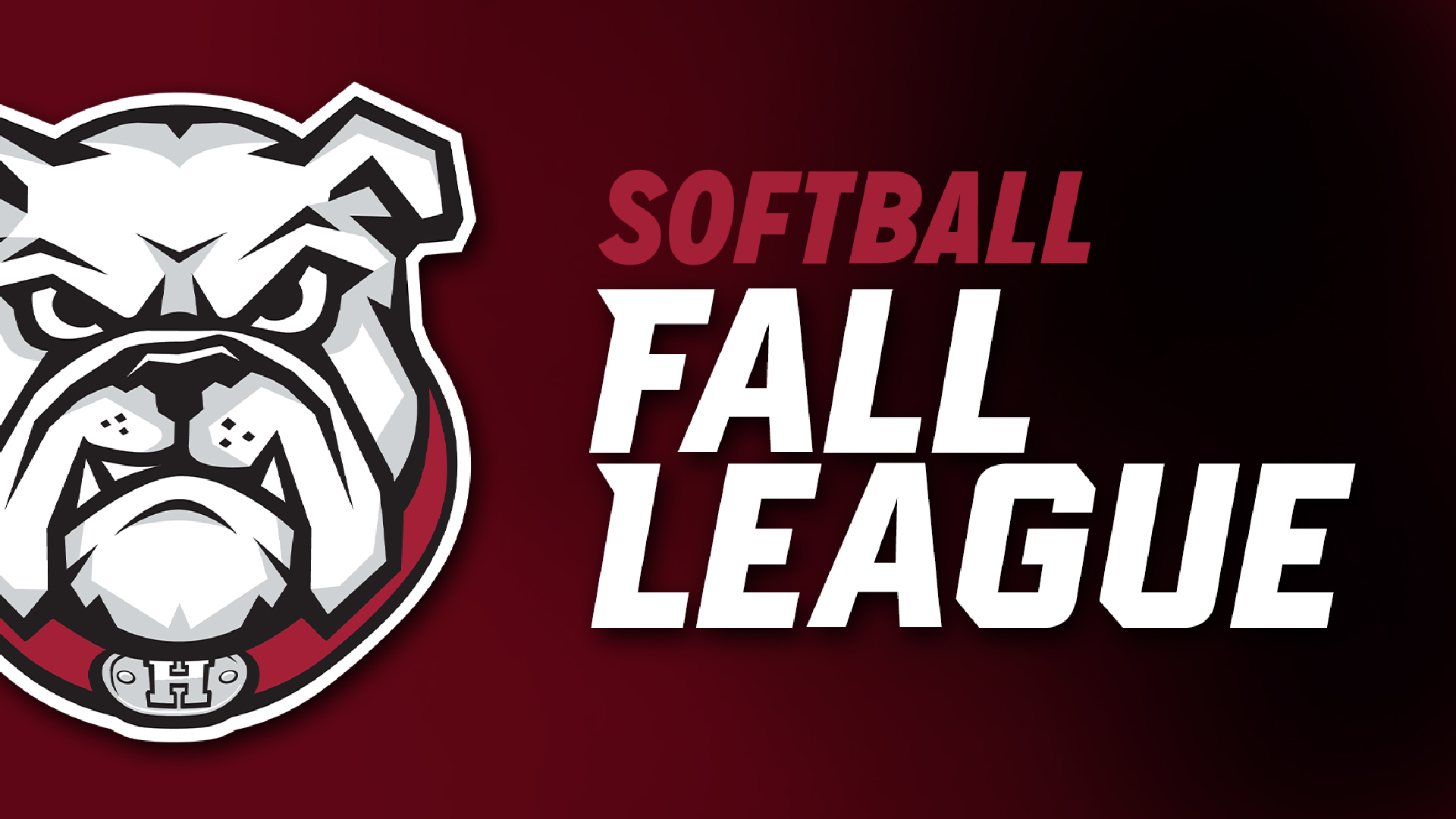 SoftballFallLeague